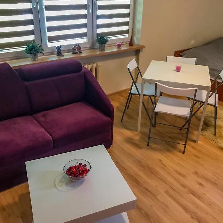 Cosy Studio In Quiet Location Puławy المظهر الخارجي الصورة