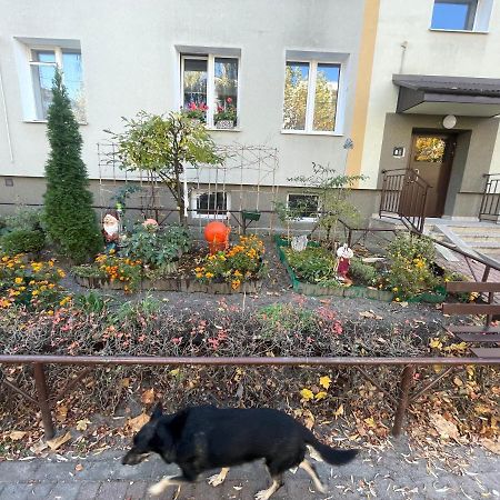 Cosy Studio In Quiet Location Puławy المظهر الخارجي الصورة