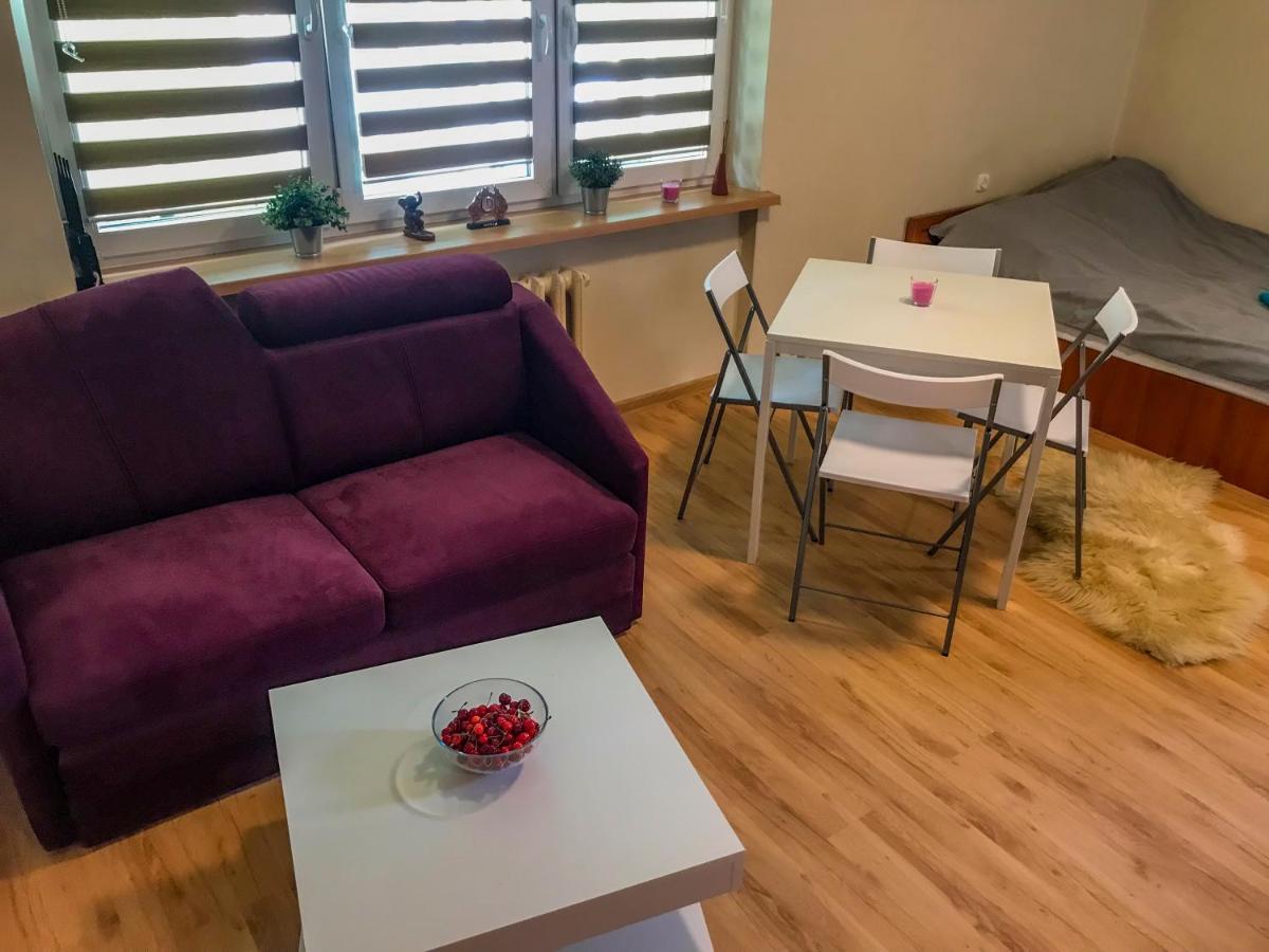 Cosy Studio In Quiet Location Puławy المظهر الخارجي الصورة